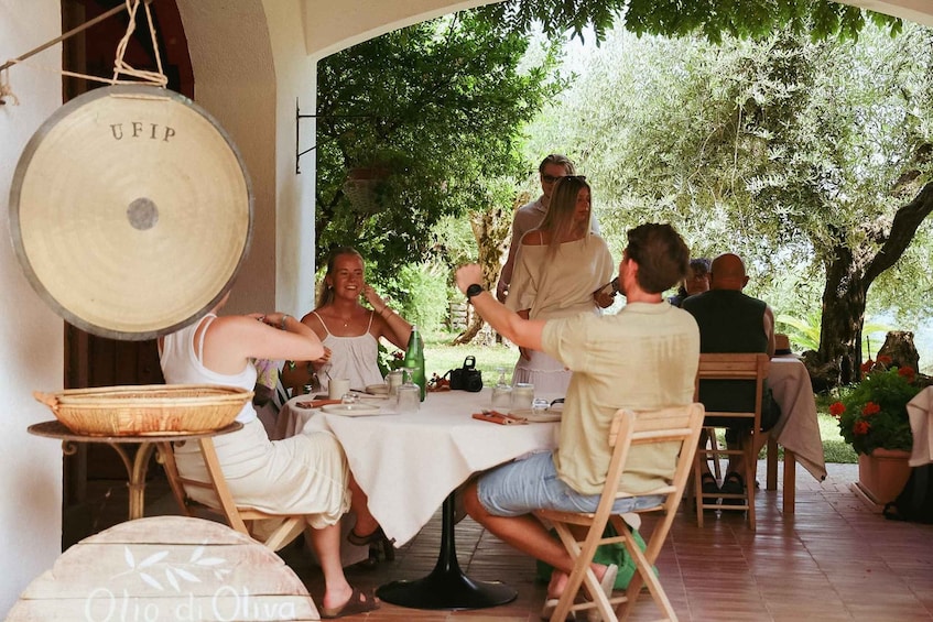 Picture 3 for Activity San Felice: Olive Oil Tasting with local food on Garda Hills 4