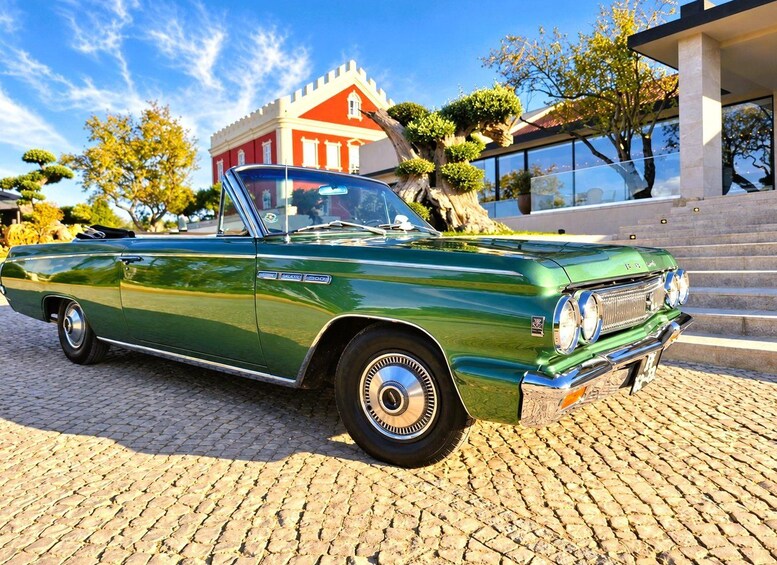 Picture 3 for Activity Algarve: Private Classic Car Scenic Escape & Picnic Delight 2