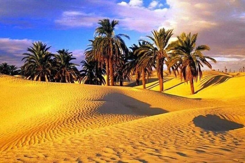 A desert landscape with sand dunes and palm trees. 5