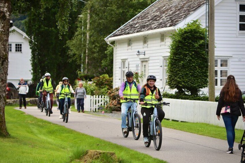 Olden: Scenic E-Bike Tour with Lakeside Picnic & Fjord Views 3