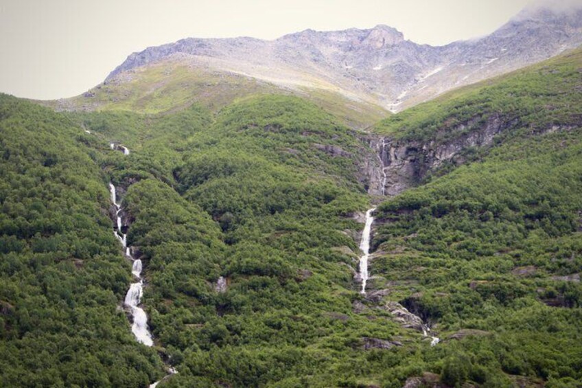 Olden: Scenic E-Bike Tour with Lakeside Picnic & Fjord Views 4