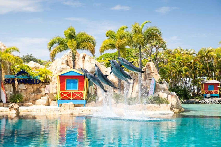 Picture 6 for Activity Gold Coast: Sea World Cruise & Entry Combo Ticket 5