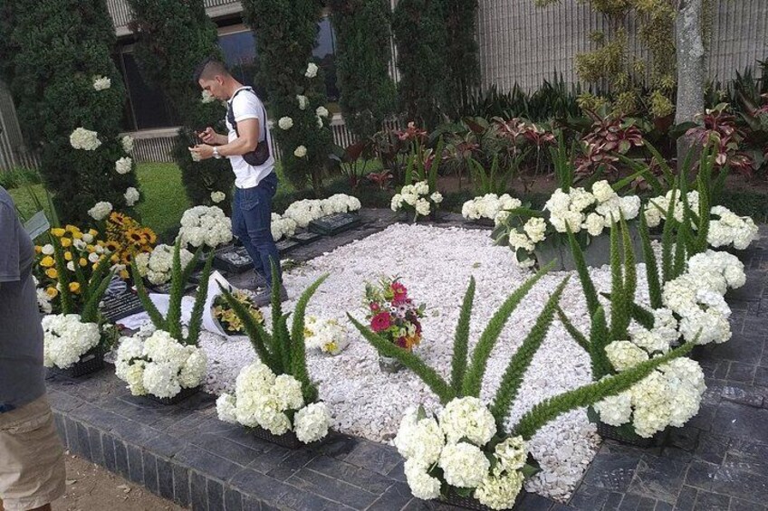 Un hombre de pie en un jardín con flores blancas y plantas verdes. 2
