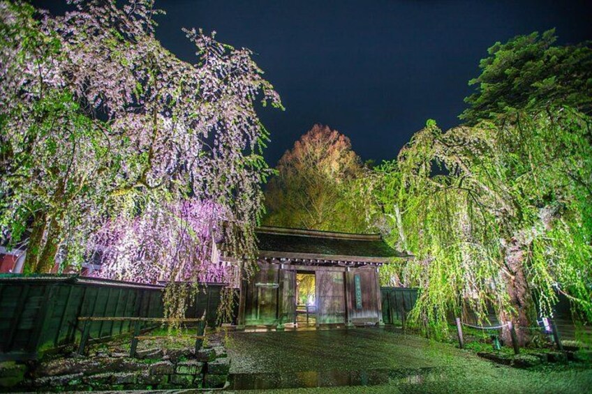 Akita: Kakunodate Samurai District & Residence Tour 4