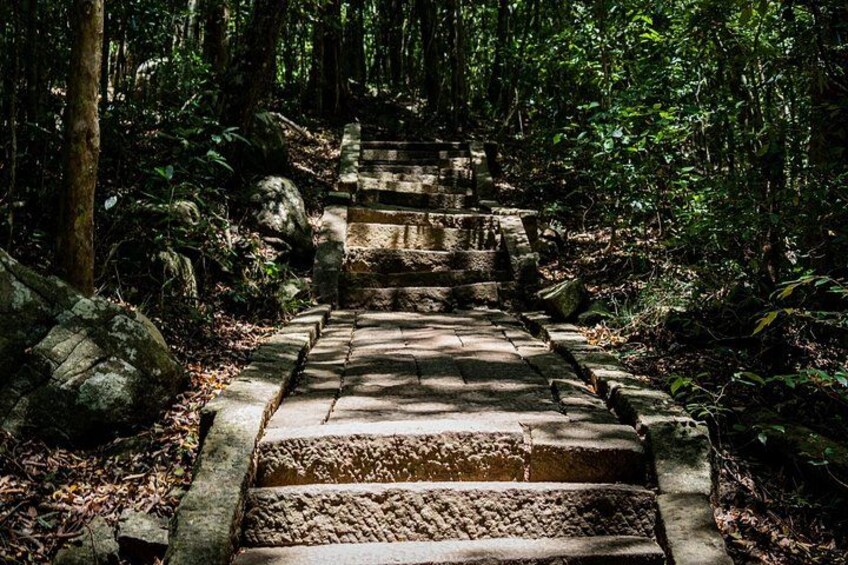 A stone staircase in a forested area. 2
