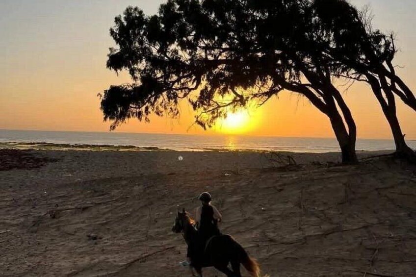 Scenic Horseback Riding Tour in Sidi Kouki, near Essaouira 2