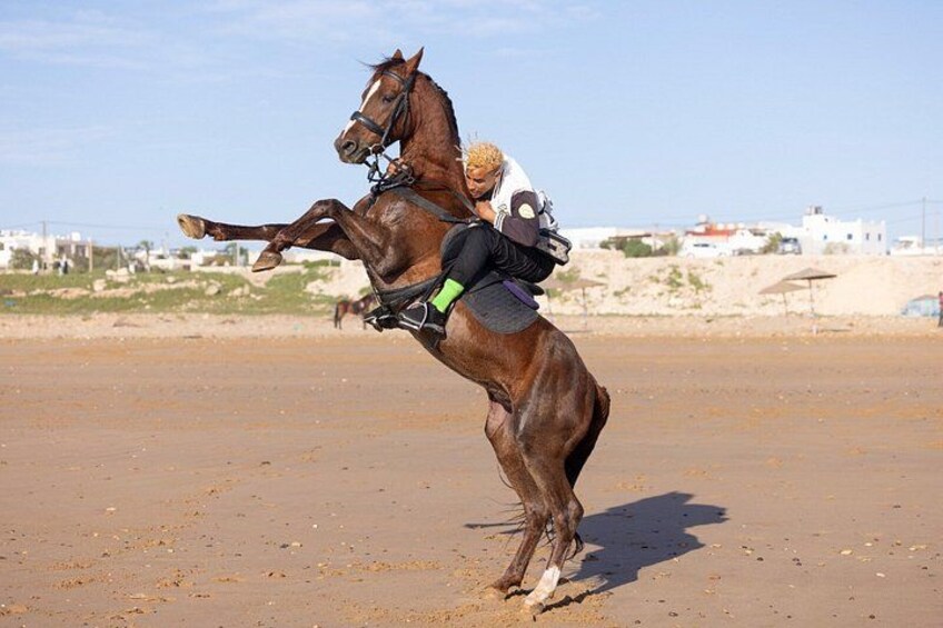 Scenic Horseback Riding Tour in Sidi Kouki, near Essaouira 5