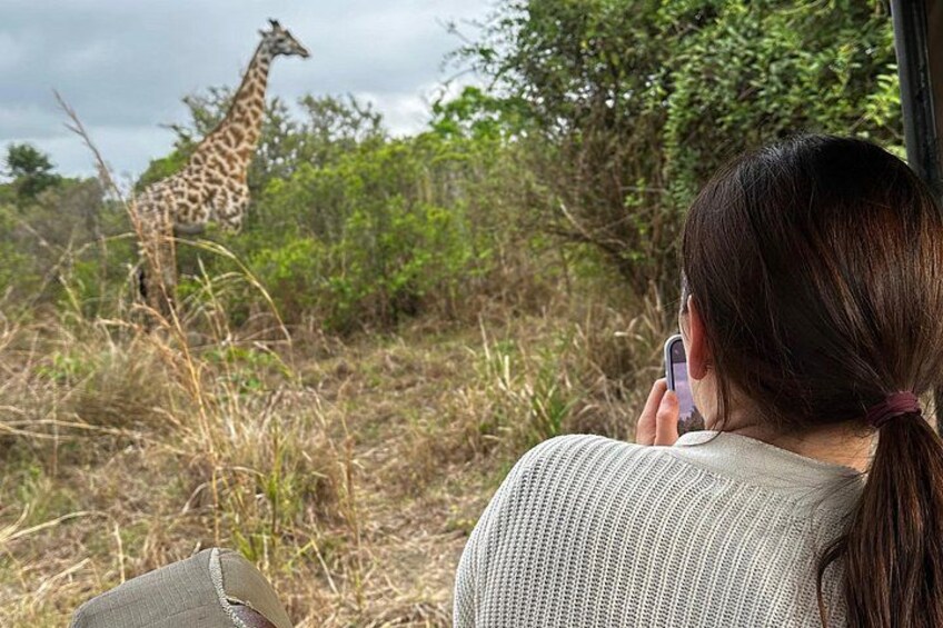 A person taking a photo of a giraffe in a natural setting with trees and grass. 2