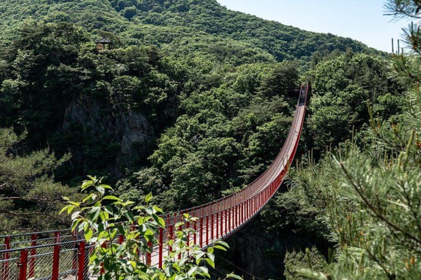 Exclusive JSA Museum and DMZ Tour from Seoul 2