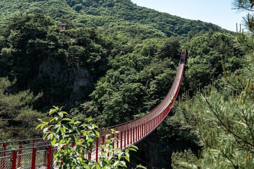 Exclusive JSA Museum and DMZ Tour from Seoul 2