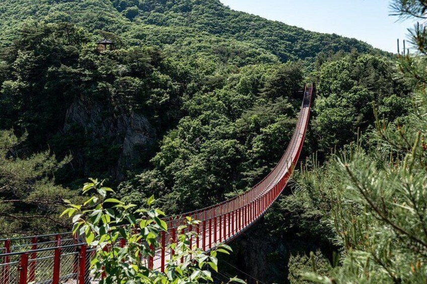 Eine rote Hängebrücke schlängelt sich durch einen dichten Wald. 2