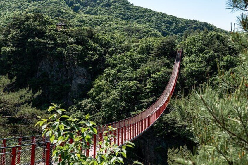 Exclusive JSA Museum and DMZ Tour from Seoul 2