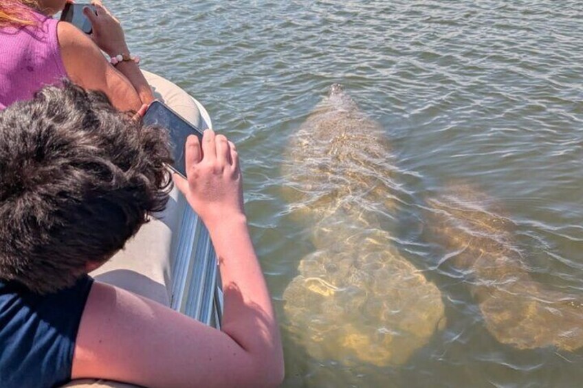 A person in a boat looking at a large fish in the water. 1