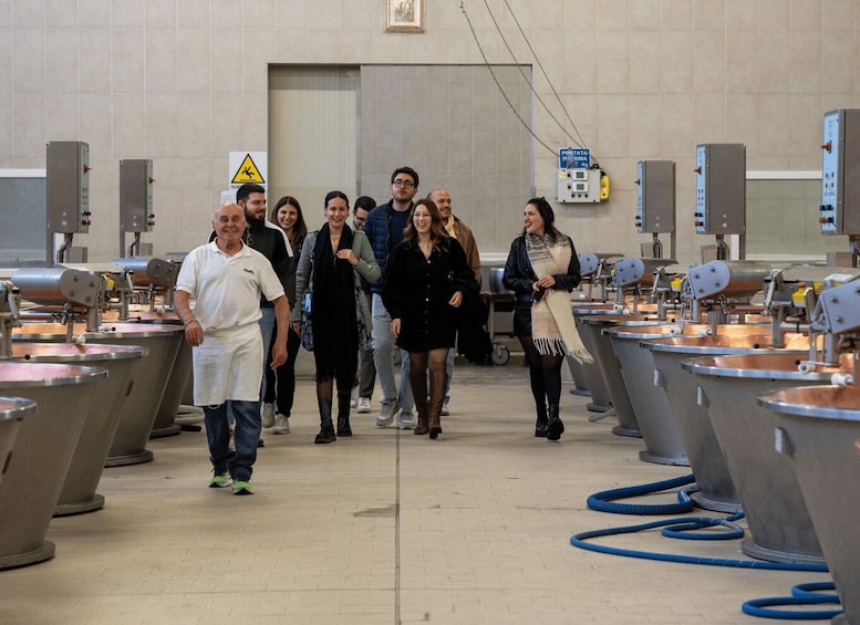 Picture 3 for Activity Parmesan Factory Tasting & Tour near Maranello & Modena 2
