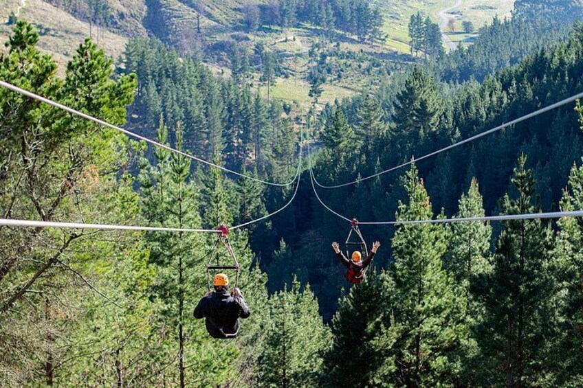 ZIPCHCH - Single Zipline Long Ride: NZ's Longest Zipline 1
