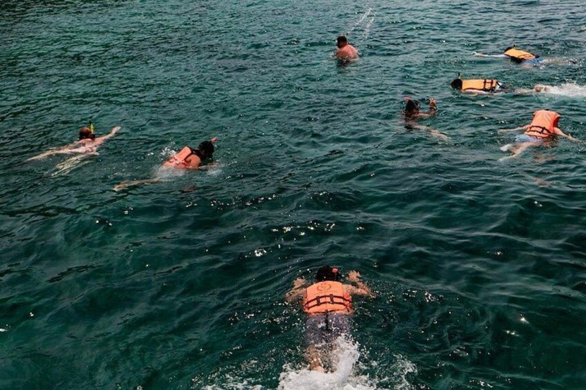 People swimming in a body of water. 5