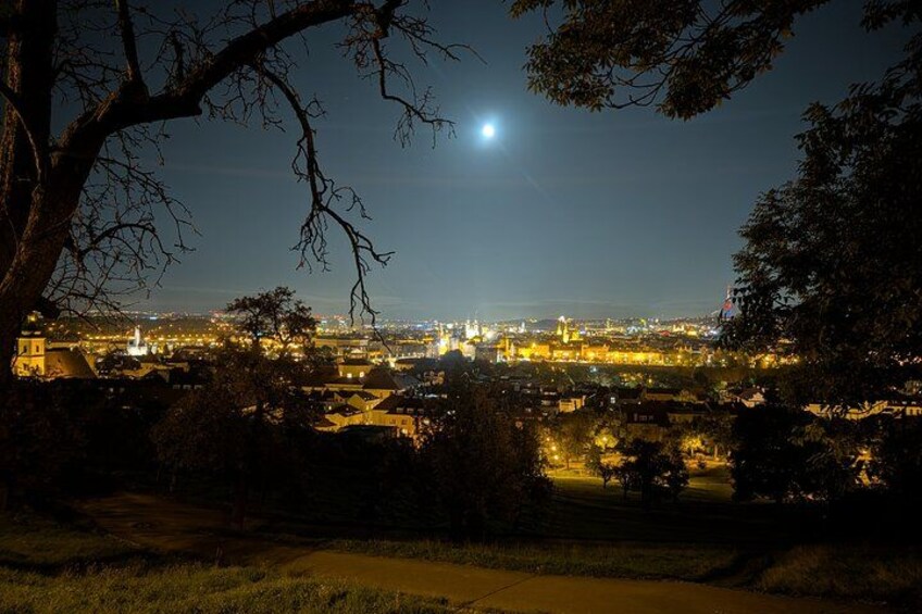 A nighttime cityscape with a prominent tree in the foreground and a bright moon in the sky. 1