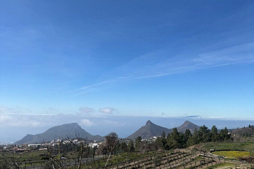 VIP Day Tour with Private Guide Around Tenerife by Luxury Car 3