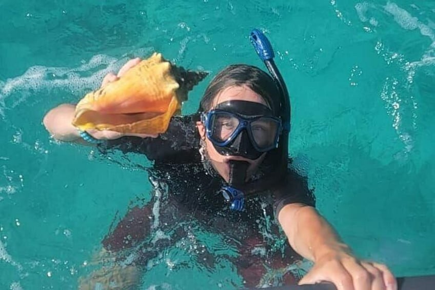 A person swimming in a pool with a snorkel and mask, holding a seashell. 5