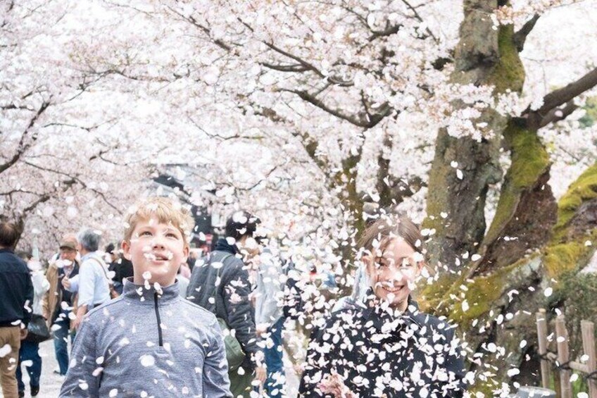 Cherry blossoms, people, and a tree. 4