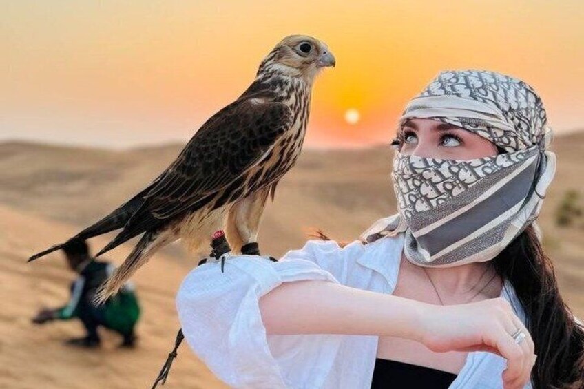 A person with a bird on their shoulder, a desert landscape, and a sunset. 4