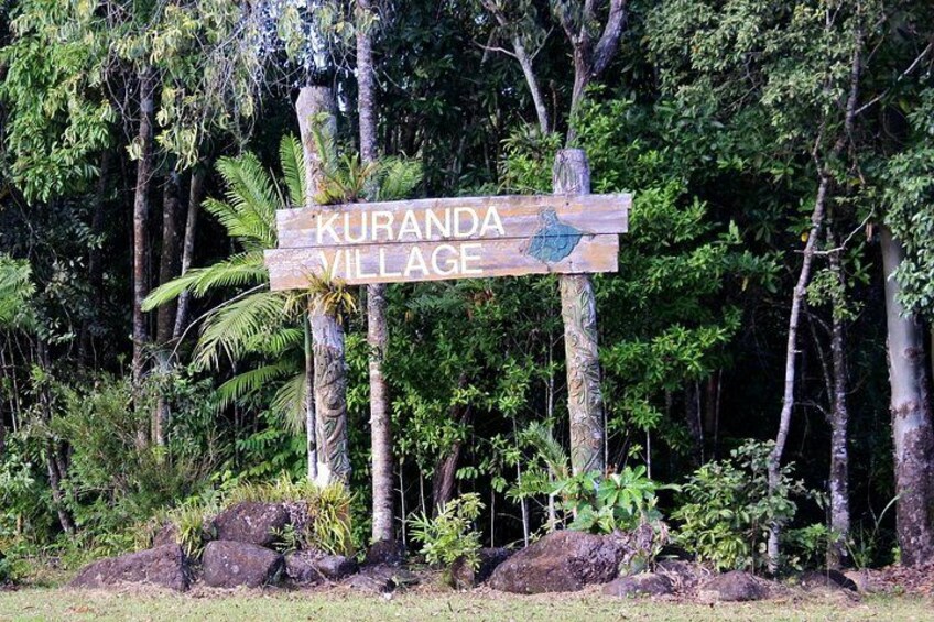 Private Shore Tour: Kuranda Rainforest &Skyrail from Port Douglas 2