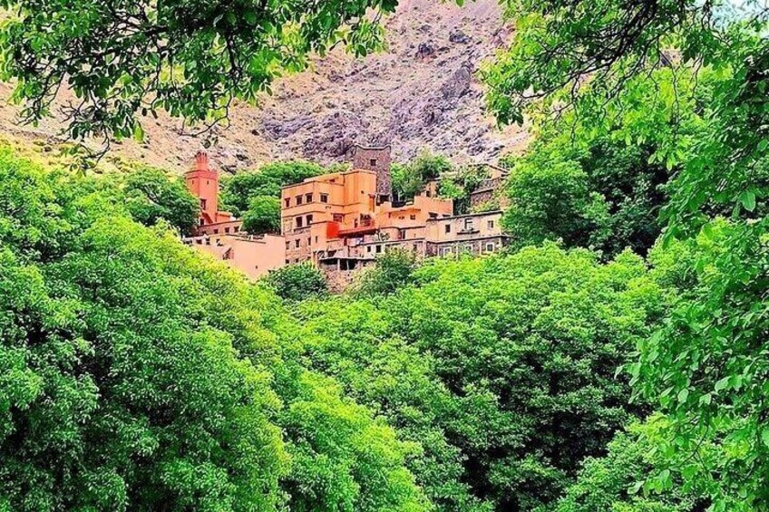 Atlas Mountains and Ourika Valley Day Trip from Marrakech 4