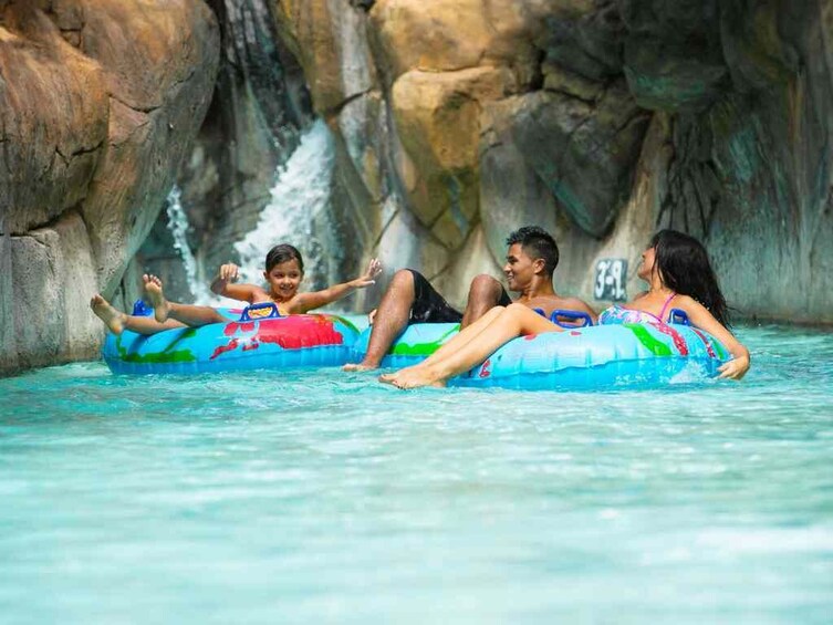 Zip and Dip - Zipline and Wet 'n' Wild Waterpark Admission with Transport 4