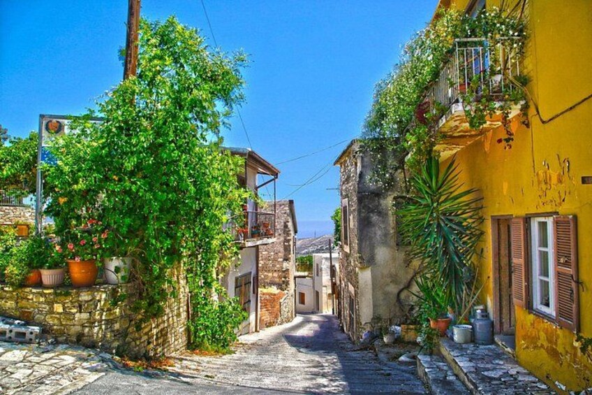Private Shore Tour Olive Farm & Old Limassol Discovery 4