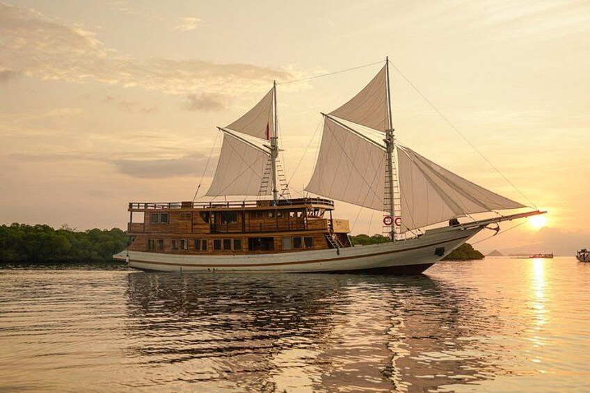 New Komodo Scuba Diving Liveaboard Underwater Photo Incl 1
