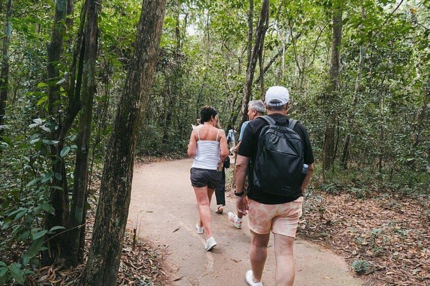 A group of people hiking on a dirt trail surrounded by dense forest. 5
