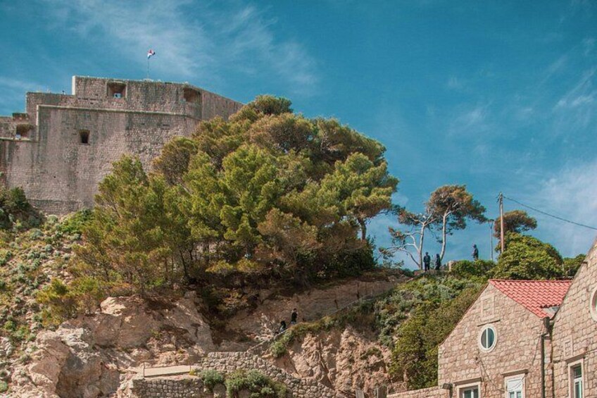 A historic stone fortress with a flag, a large tree, and a red-roofed building. 3