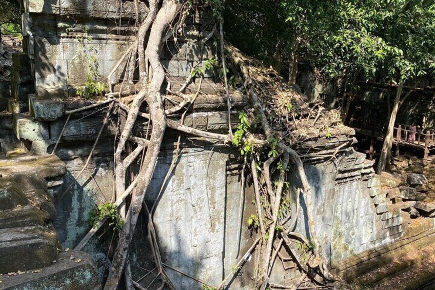 A stone structure with overgrown roots and vegetation. 1
