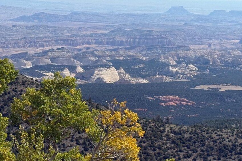 A vast canyon landscape with layered rock formations and sparse vegetation. 2