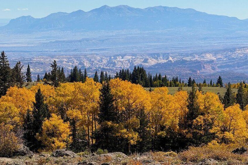 A mountainous landscape with yellow autumn foliage and evergreen trees. 4