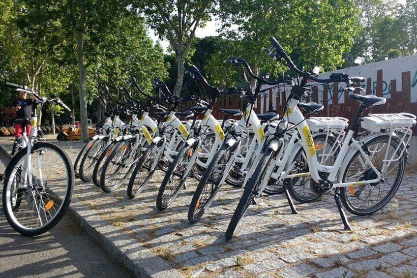 A row of white bicycles parked on a cobblestone path with trees in the background. 3