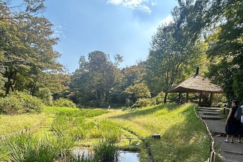 En park med en damm, gräsområden och en lusthus. 2