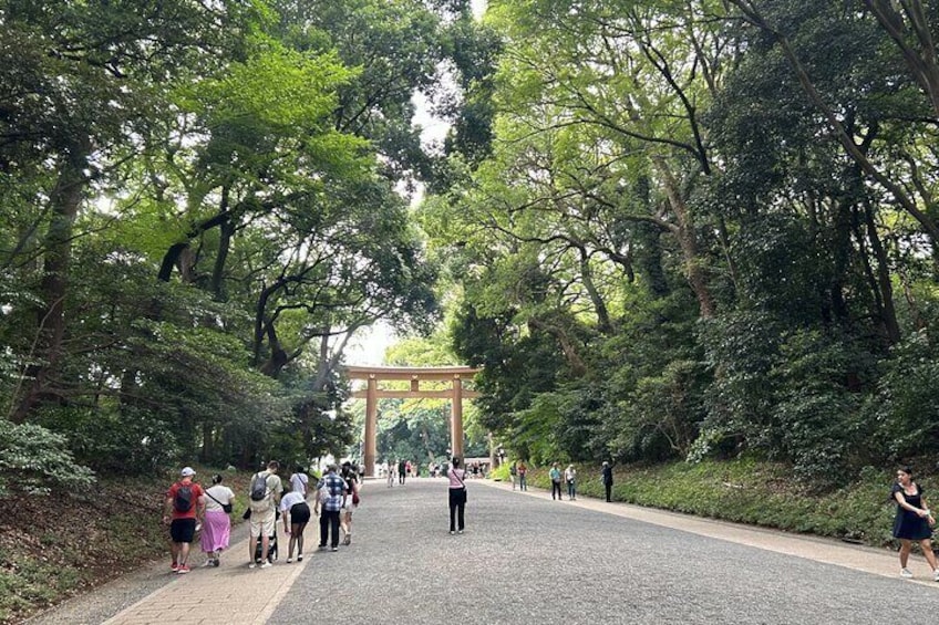 En stig kantad av träd som leder fram till en traditionell japansk torii-port. 1