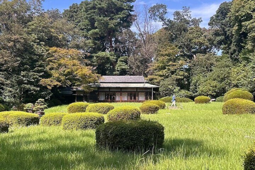 En traditionell japansk byggnad omgiven av välskötta buskar och träd. 3