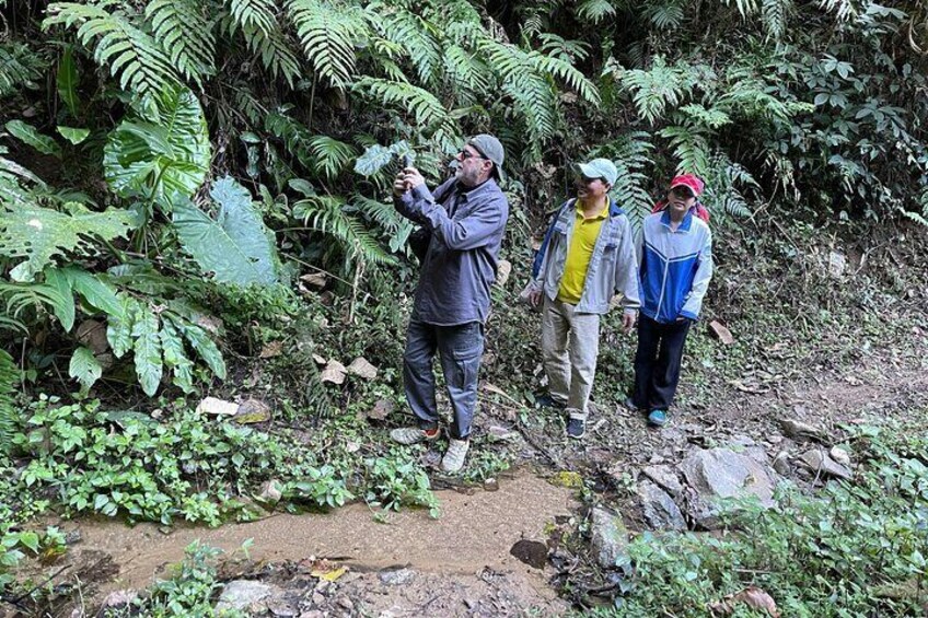 Dien Bien Phu Historical Trek in Pu To Co Trails 4