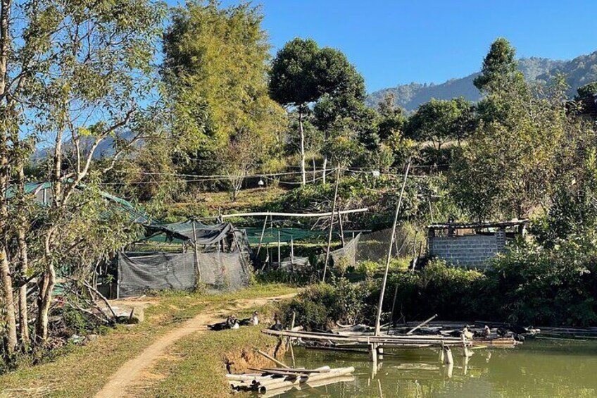 Dien Bien Phu Historical Trek in Pu To Co Trails 2