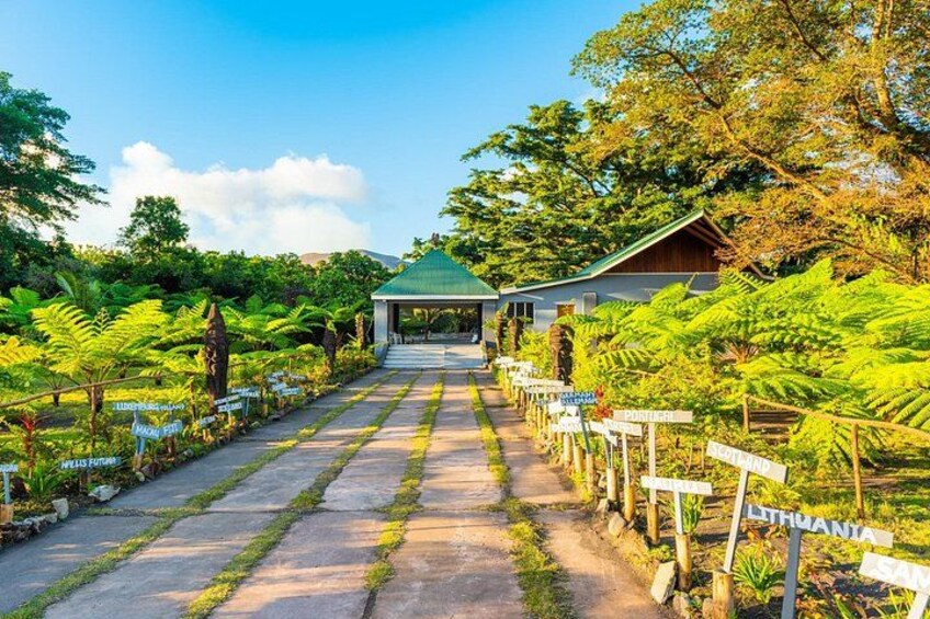 Vanuatu Island Discovery: Full Day Private Shore Tour from Port 3