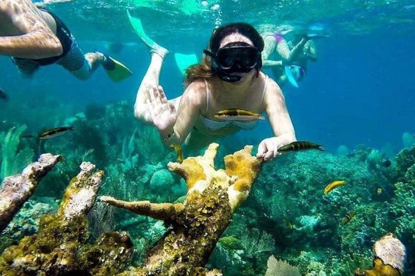 A person snorkeling underwater with fish and coral reefs. 2