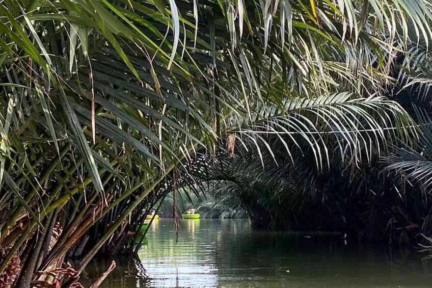 Un canale stretto costeggiato da fitte palme. 2