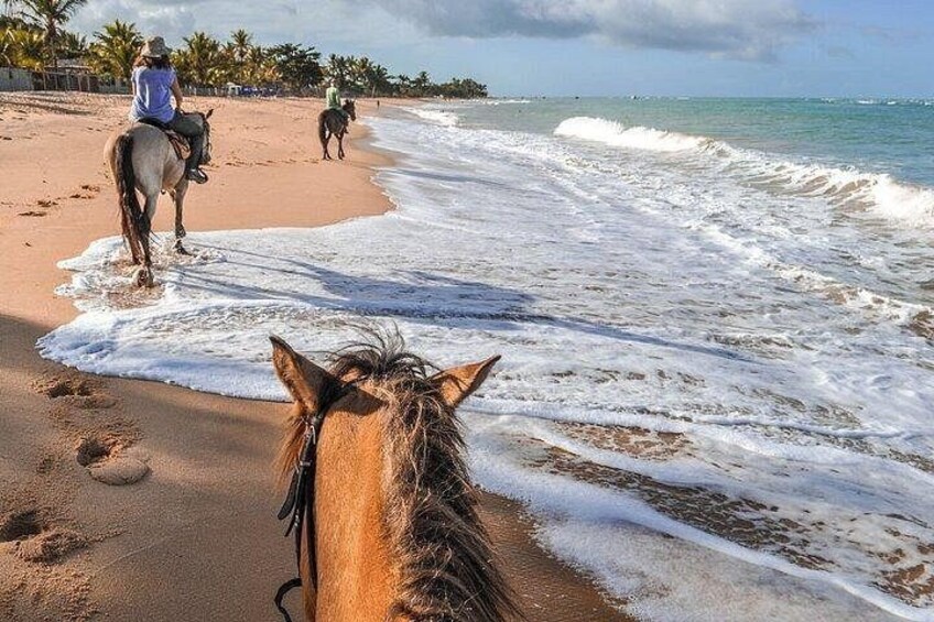 Domitai Park Hacienda 9 Attractions with Lunch in Punta Cana 3
