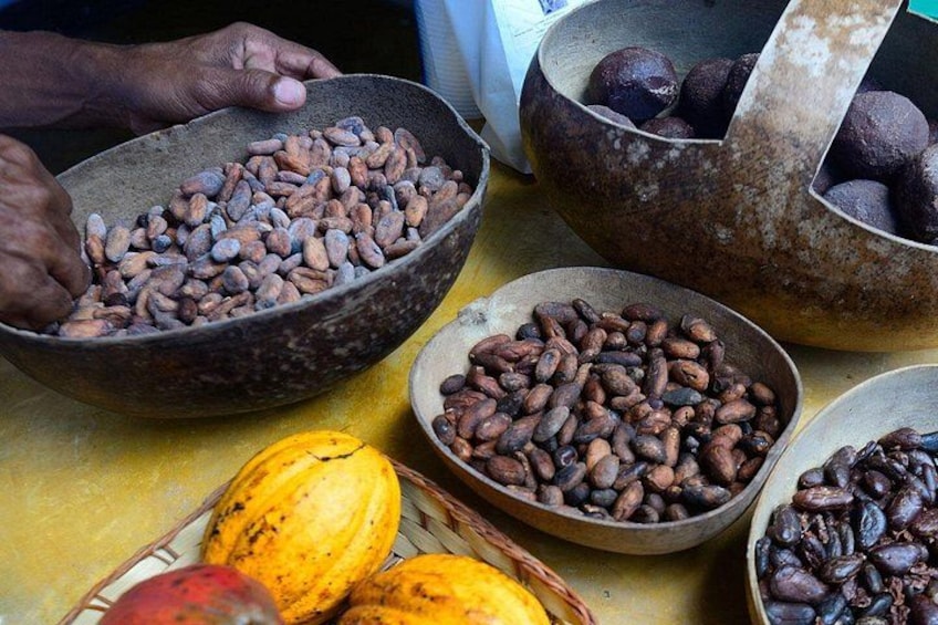 Domitai Park Hacienda 9 Attractions with Lunch in Punta Cana 2