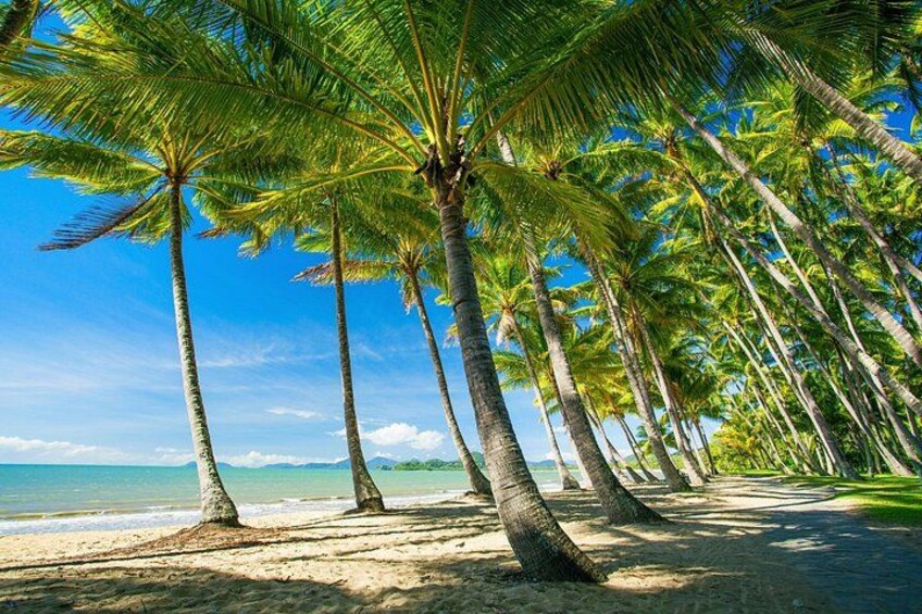 Private Shore Tour: Kuranda Village & Palm Cove from Port Douglas 1