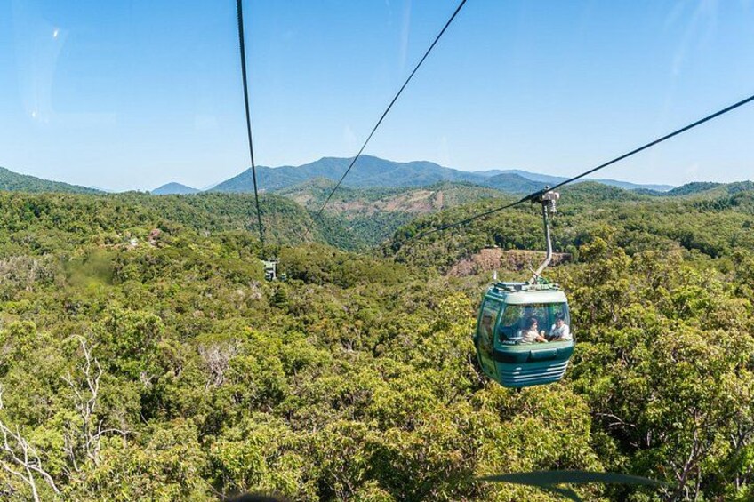 Private Shore Tour: Kuranda Village & Palm Cove from Port Douglas 2