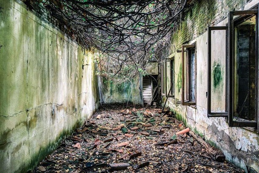 A dilapidated corridor with overgrown vegetation and debris. 2