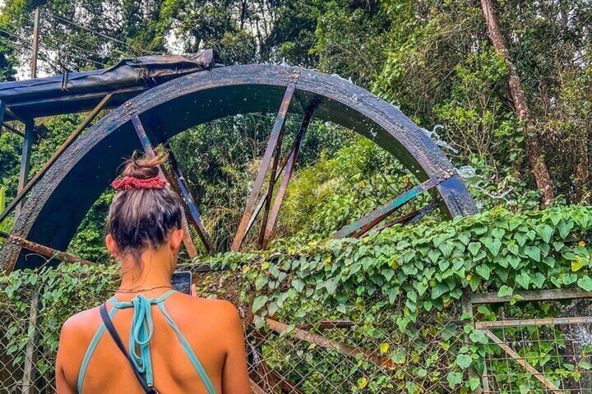 Une personne se tient devant une grande roue à eau rouillée, entourée de verdure. 1